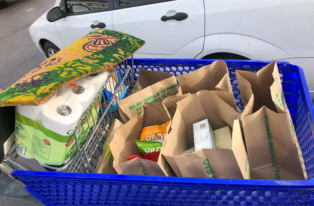 Photo of a shopping cart full of goods from Bailey's Discount Center, packed into paper bags.