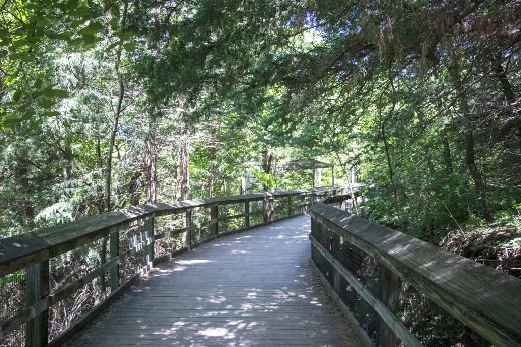 Walking Path at Lee G. Simmons Wildlife Safari and Conservation Park