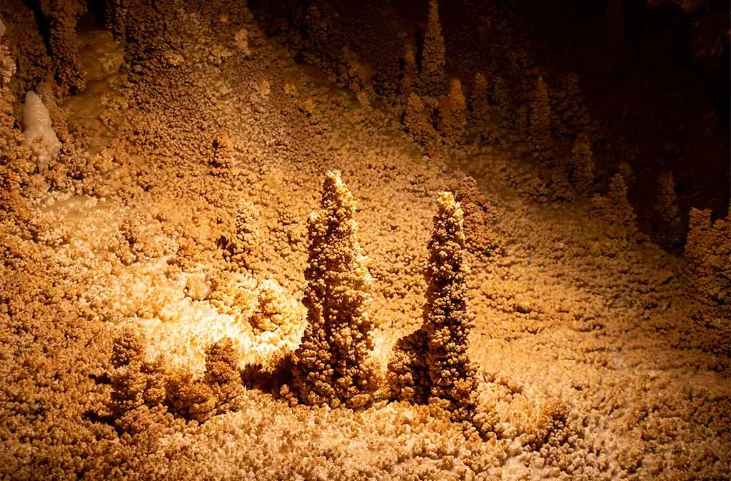 Photo of calcite crystal formations in the Caverns of Sonora that resemble a snow covered pine forest.