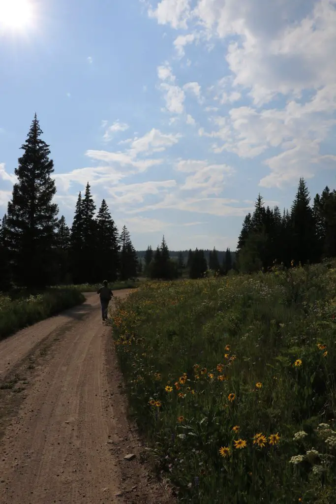 Luke Hanna walking to a fishing spot at Rabbit Ears Pass and Dumont Lake