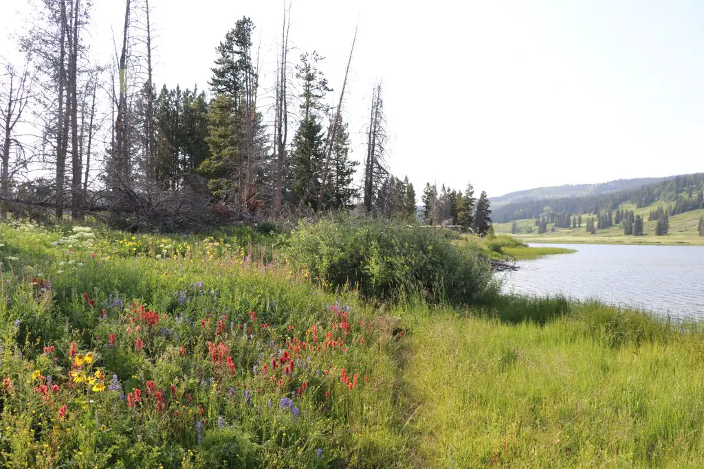 Photography of Dumont Lake near Rabbit Ears Pass Colorado