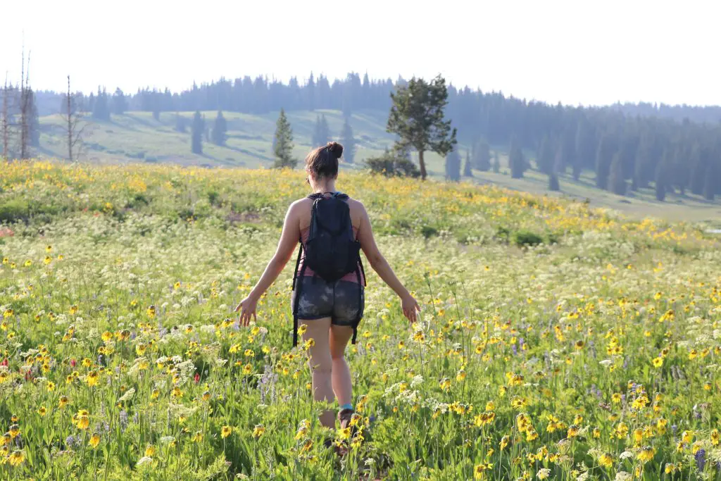Stephanie WIlson hiking through a field of flowers at Rabbit Ears Pass
