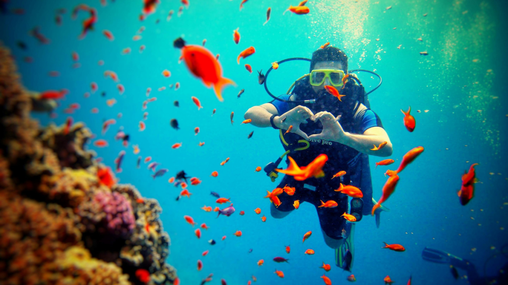 Photo of a diver surrounded by colorful fish and coral reef, capturing underwater adventure for Applied Worldwide Lifestyle bio "Dive Right Into Your Trip To The Maldives"