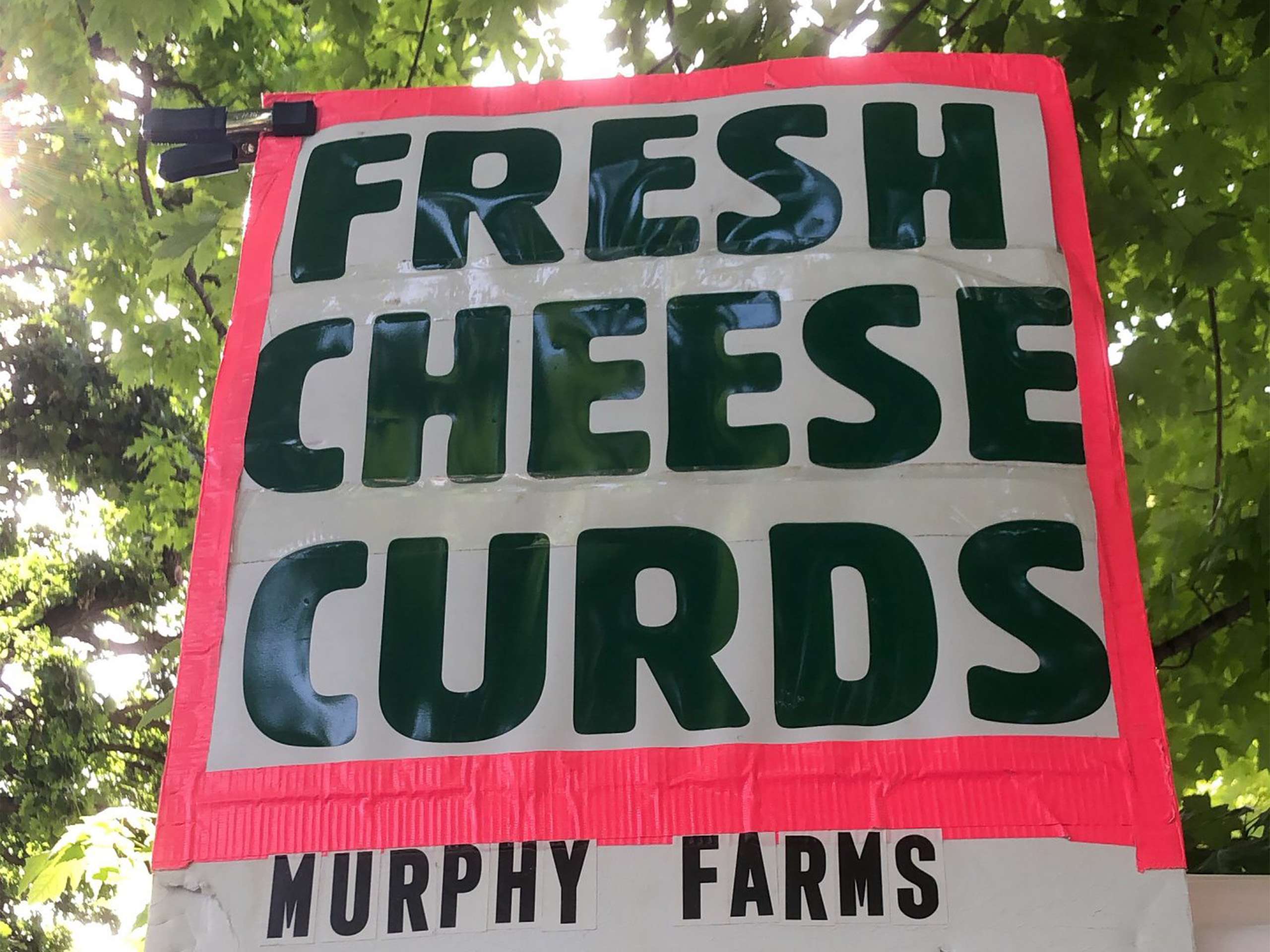 Fresh Cheese Curds at Dane County Farmers Market in Madison, Wisconsin.