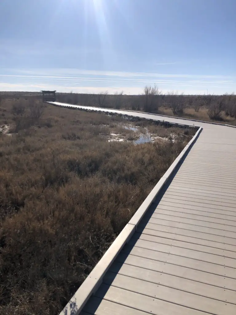 Wetlands Trail Bottomless Lakes State Park