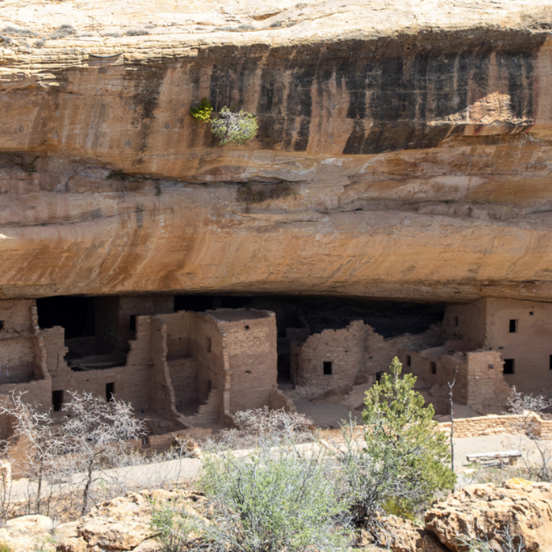Mesa Verde National Park: A Lesson in Pueblo History