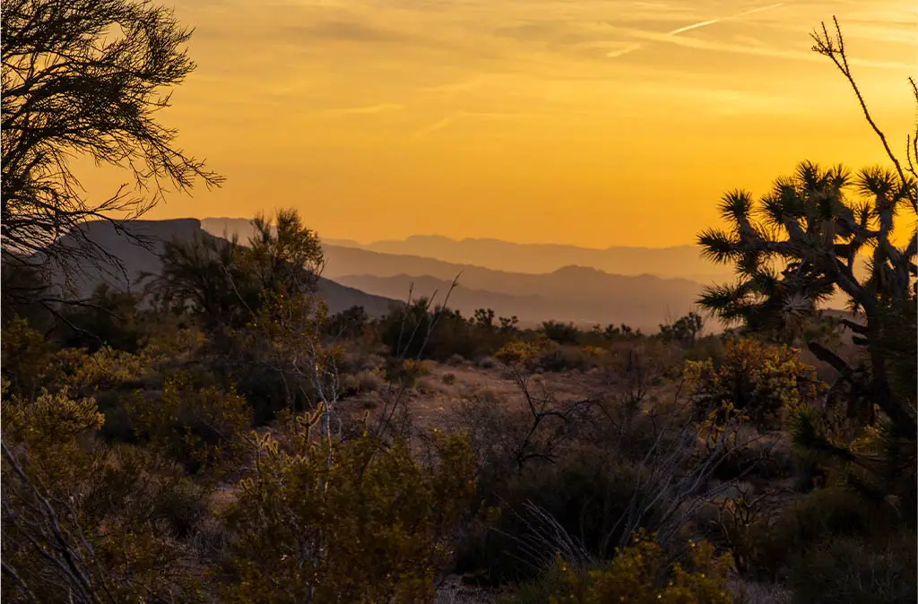Photo of bright orange sunset revealing layers of mountains and silhouettes of Joshua Trees in the Mojave Desert for a photo gallery of Arizona Sunsets