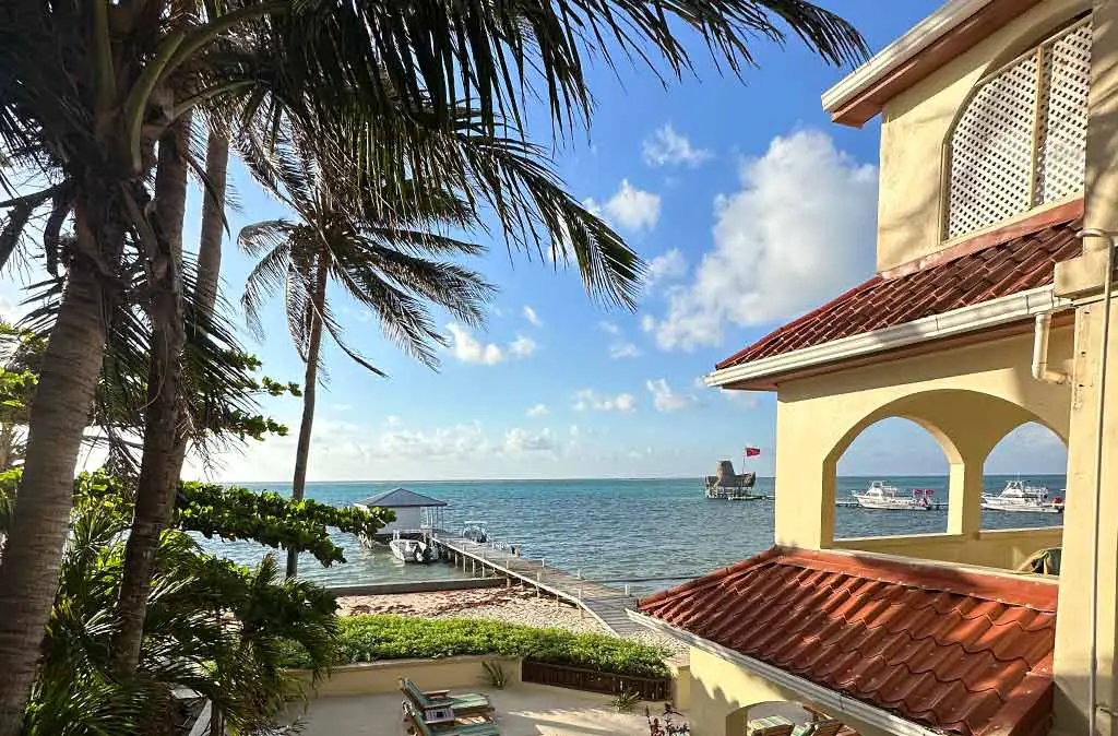 Photo of ocean views from The Palms Oceanfront Suites San Pedro showing blue skies, tall palms, and the Caribbean Sea.