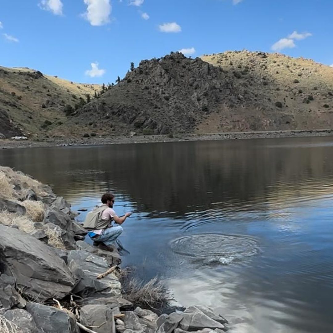 Fishing the Lake City Bridge near Gunnison, Colorado