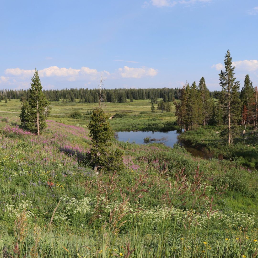 Photo Gallery of Rabbit Ears Pass and Dumont Lake
