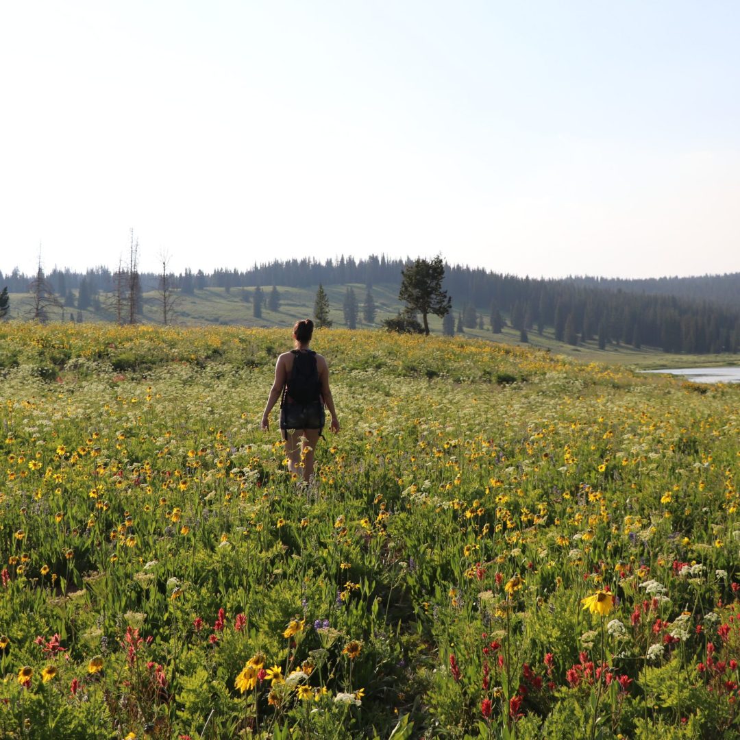 Camping Adventure at Rabbit Ears Pass and Dumont Lake