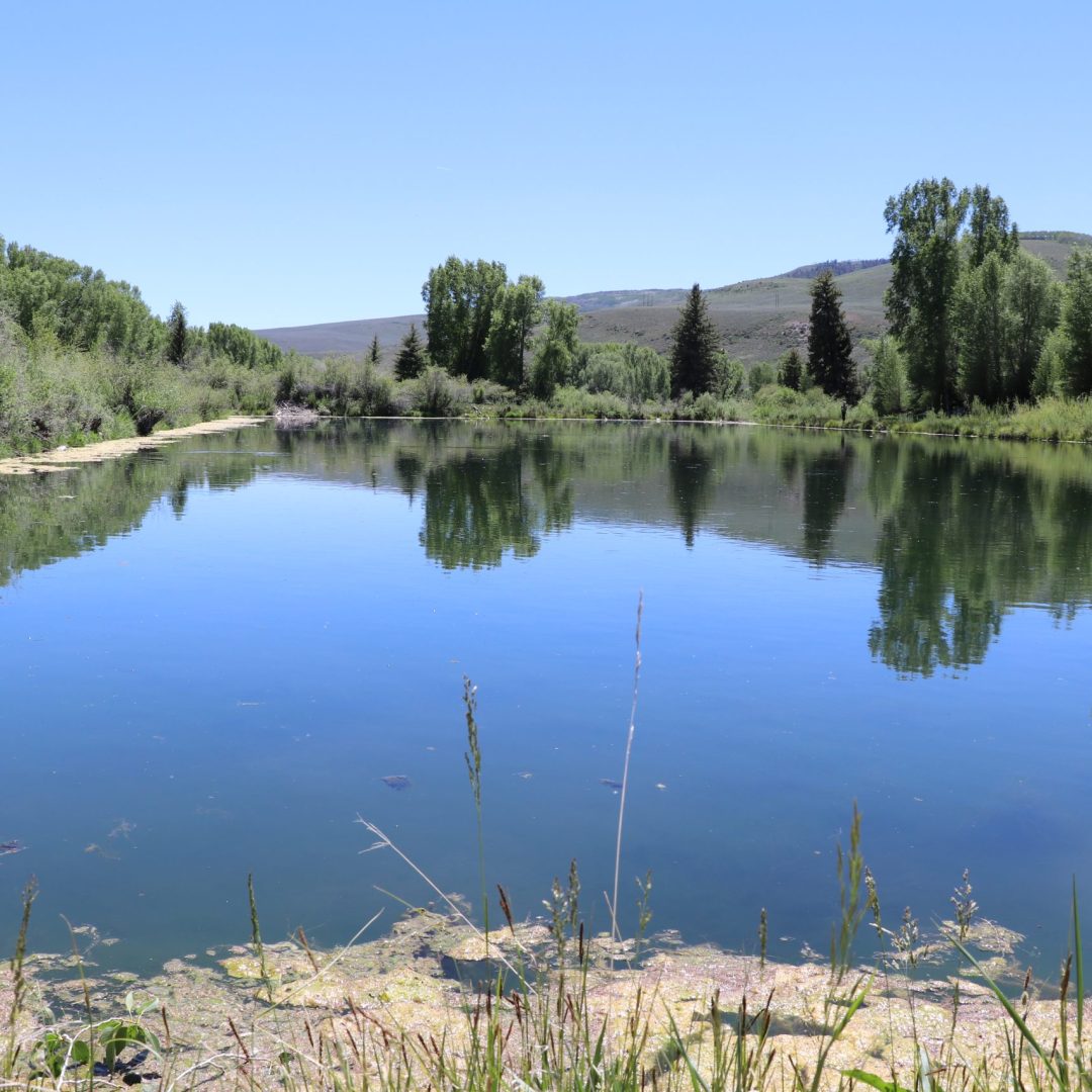 Roaring Judy State Fish Hatchery near Gunnison, Colorado