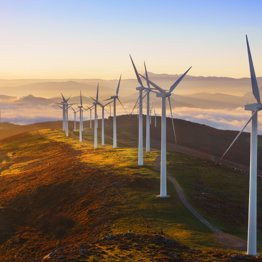 What is Sustainability in Hospitality? Steps for the Future