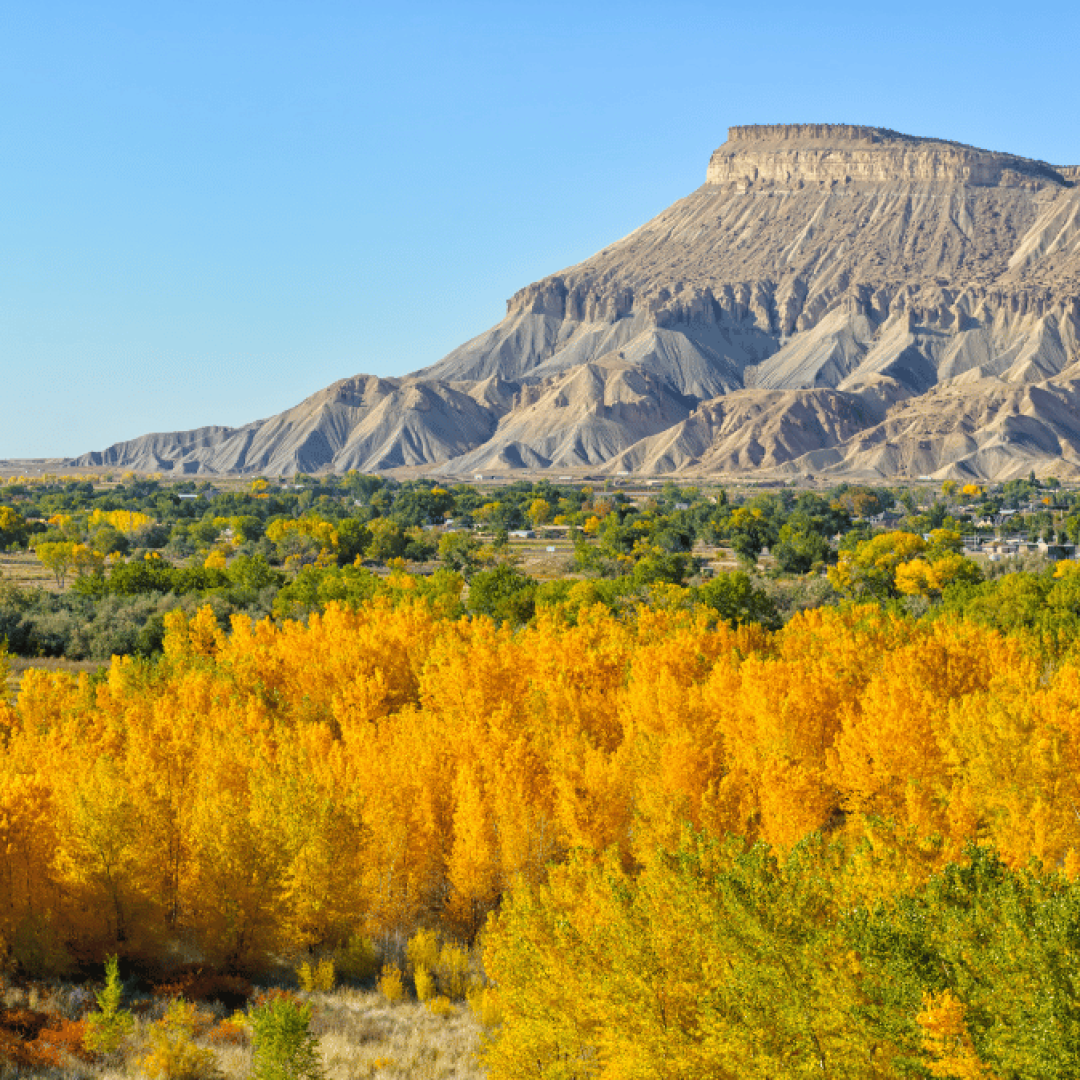 Top Things to Do in Grand Junction, Colorado