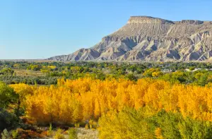 Photo of Mt. Garfield with Fall foliage in the Grand Valley for blog titled Top Things to Do in Grand Junction, Colorado