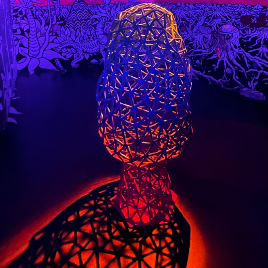 Visiting Meow Wolf Denver with a Ten Year Old
