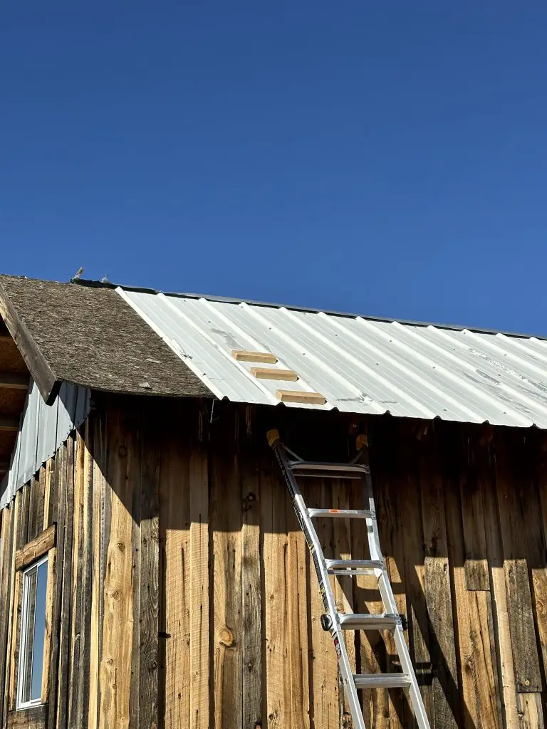 Renovating and Old Shack into an Executive Office