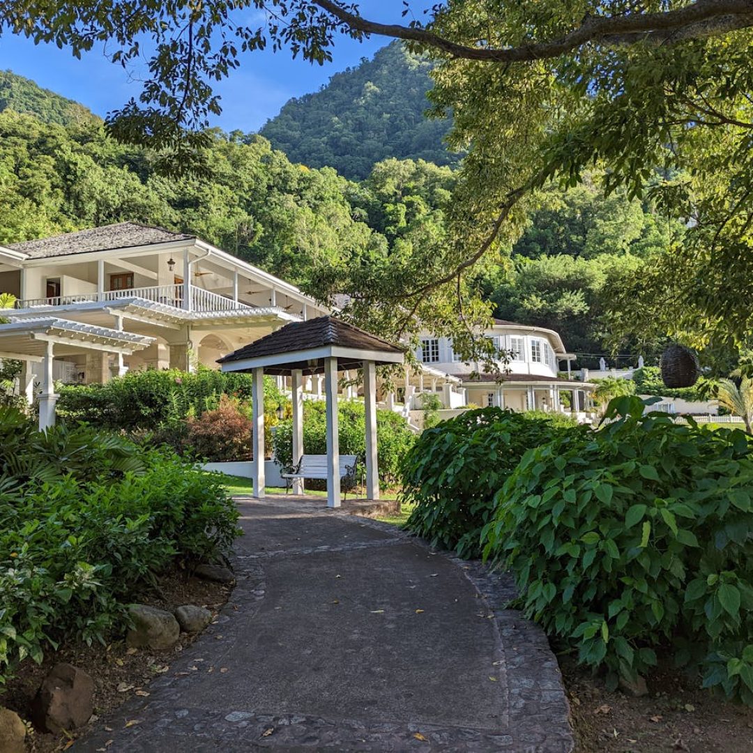 The Greenwashing Problem in Travel and Hospitality
