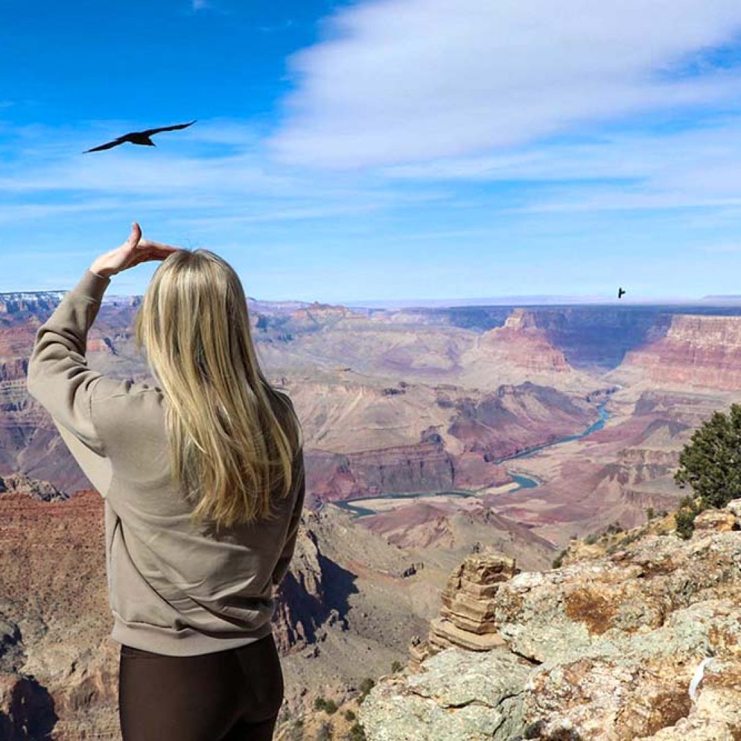 How To Get The Most Out Of The Grand Canyon