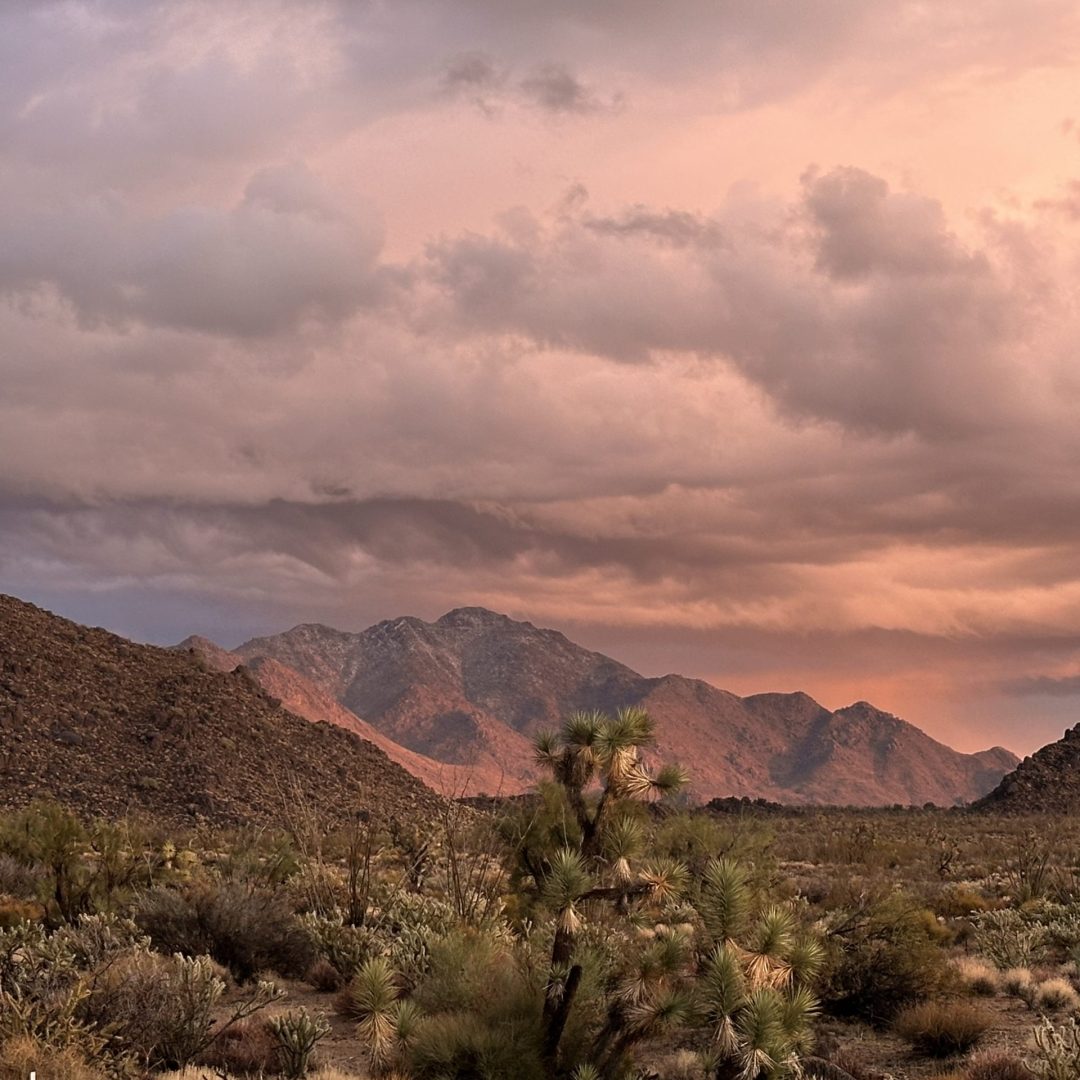 How I Built Community while Living Off the Grid 