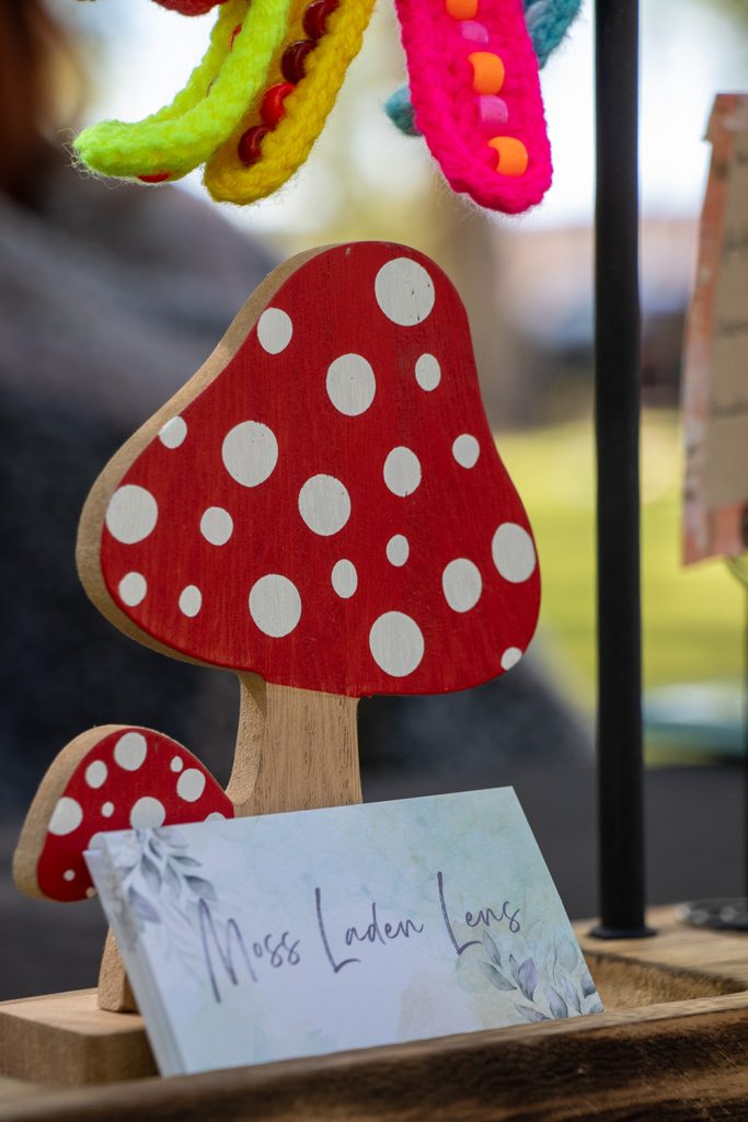 Photo of wooden amanita mushroom at the Hartman Castle Art Fair for Applied Worldwide blog "Hartman Castle Welcome Community for First Time in Century"