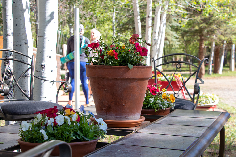Photo of people gathering around outdoor seating and flowers at Hartman Castle Art Fair for Applied Worldwide blog "Hartman Castle Welcome Community for First Time in Century"