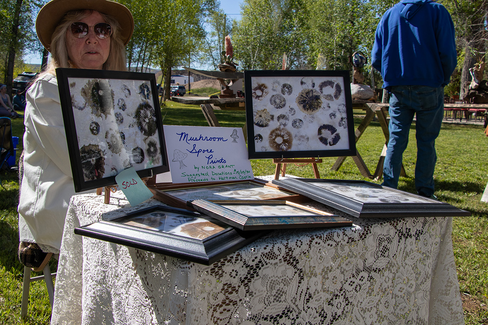 Photo of mushroom spore print artwork at the Hartman Castle Art Fair for Applied Worldwide blog "Hartman Castle Welcome Community for First Time in Century"