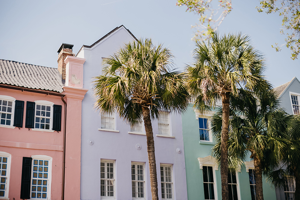 Vibrant pastel homes and palm trees on a sunny street in Charleston for Applied Worldwide Lifestyle blog "Here’s the First-Time Charleston Travel Mistakes that are Easy to Make"