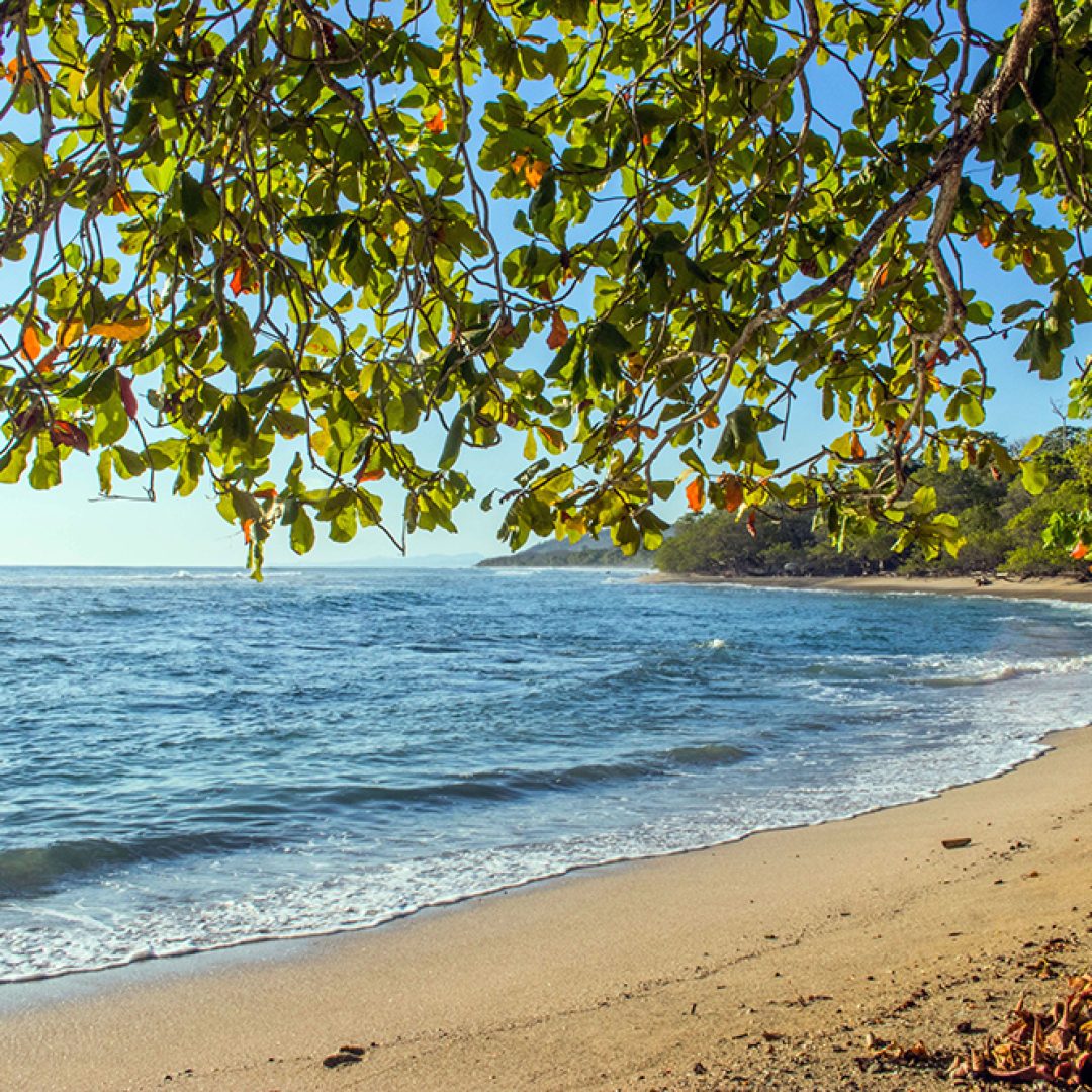 4 Reasons Los Suenos Is Worth Visiting