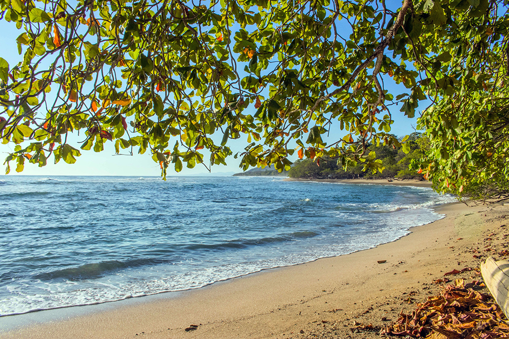 Tranquil beach scene in Puntarenas, Costa Rica with lush greenery and calm waves for Applied Worldwide blog "4 Reasons Los Suenos Is Worth Visiting"