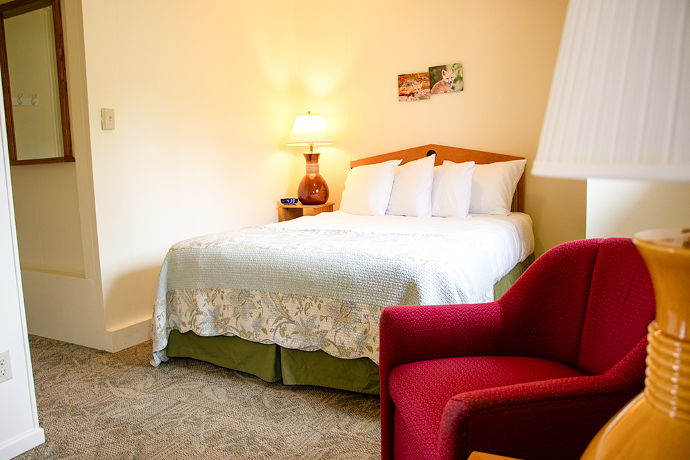 Photo of bed in one of Island Acres Queen Studio Suites for Applied Worldwide Lifestyle blog "Island Acres Resort Motel from around the Web"